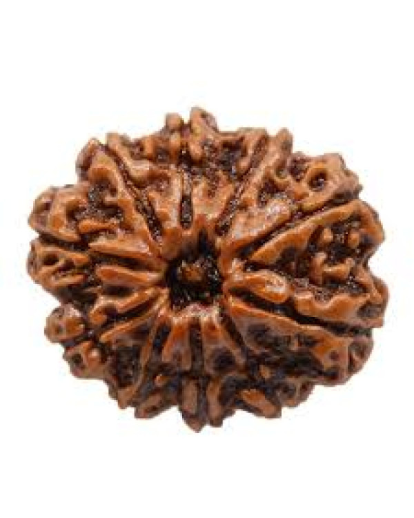 Ten Mukhi